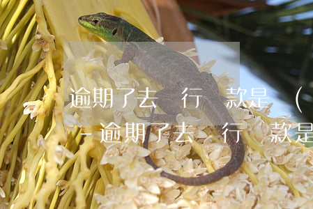 逾期了去銀行還款是個(gè)人還是對公-逾期了去銀行還款是個(gè)人還是對公賬戶