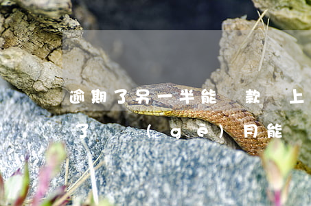 逾期了另一半能貸款嗎(上個(gè)月逾期了這個(gè)月能貸款嗎)