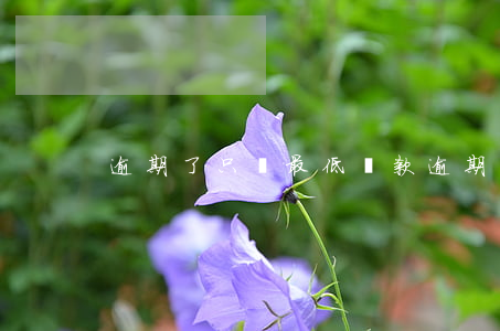 逾期了只還最低還款(逾期后最低還款)