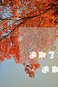逾期了可以找律師制定還款計(jì)劃嗎-逾期了可以找律師制定還款計(jì)劃嗎知乎