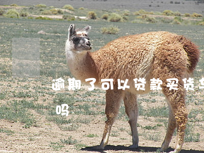 逾期了可以贷款买货车吗(有逾期有车能贷款吗)