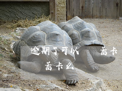 逾期了可以辦儲蓄卡嗎（信用卡逾期后能辦理儲蓄卡么）