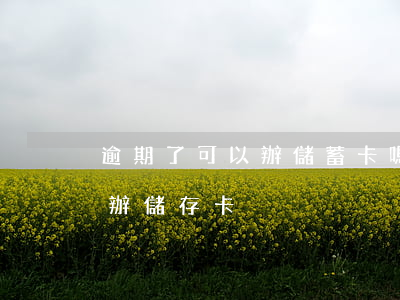 逾期了可以辦儲蓄卡嗎（信用卡逾期多久可以辦儲存卡）
