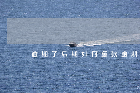 逾期了后期如何還款(逾期后怎么辦)