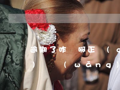 逾期了咋辦啊正規(guī)網(wǎng)貸(網(wǎng)貸逾期怎么辦?別慌,其實(shí)沒那么可怕)