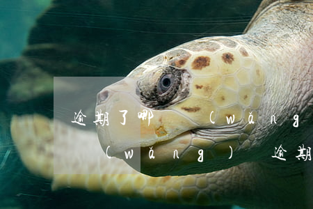 逾期了哪個網(wǎng)貸可以貸(有哪個網(wǎng)貸逾期能下的)
