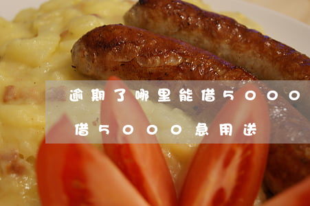 逾期了哪里能借5000急用(逾期了哪里能借5000急用送蘇)