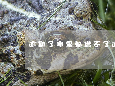逾期了哪里都借不了(逾期沒什么大不了)