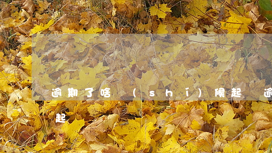 逾期了啥時(shí)候起訴(逾期多久才能起訴)