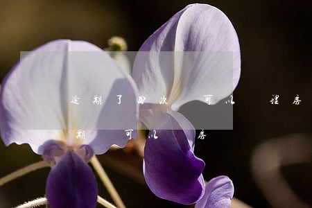 逾期了四次還可以辦理房貸嗎（信用卡四次逾期還可以辦房貸嗎）