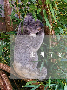 逾期了多久会被起诉（逾期几个月被起诉）