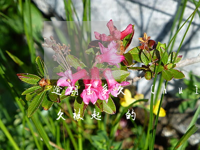 逾期了多久會(huì)被起訴（你們逾期多久被起訴的）