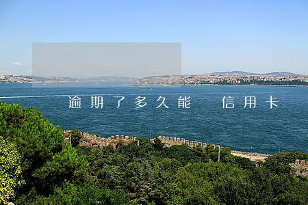 逾期了多久能辦信用卡