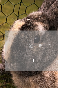 逾期了好辦信用卡么 有逾期可以辦理信用卡嗎