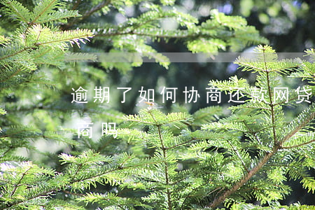 逾期了如何协商还款网贷(网贷逾期了可以协商吗)