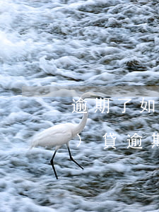 逾期了如何恢復(fù)征信(網(wǎng)貸逾期了如何恢復(fù)征信)