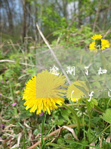 逾期了如何恢復(fù)征信(逾期了如何恢復(fù)征信)