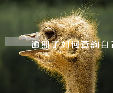逾期了如何查詢自己是否被起訴-