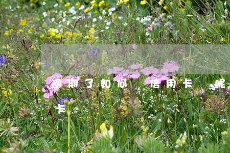 逾期了如何還信用卡錢呢(如何還逾期的信用卡)
