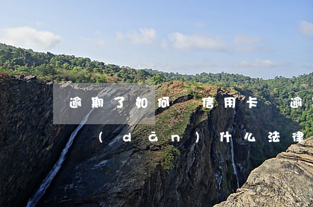 逾期了如何還信用卡錢(逾期還信用卡需要承擔(dān)什么法律責(zé)任)