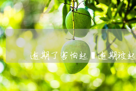 逾期了害怕起訴(逾期被起訴有什么后果)