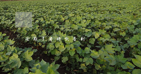 逾期了寄件能查到嗎