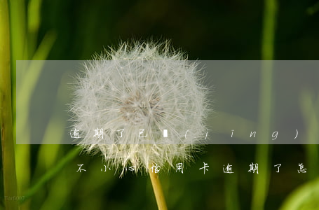 逾期了已經(jīng)處理怎么辦信用卡 不小心信用卡逾期了怎么辦