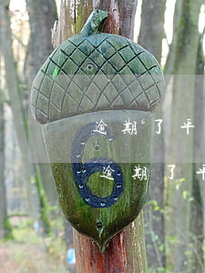 逾期了平臺發(fā)短信說取消了分期-逾期了平臺發(fā)短信說取消了分期是真的嗎