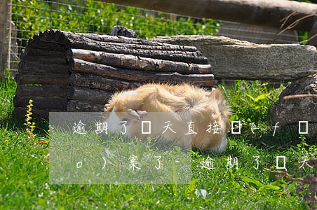 逾期了幾天直接發(fā)短信說報(bào)案了-逾期了幾天直接發(fā)短信說報(bào)案了是真的嗎