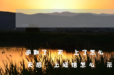 逾期了幾天還上了怎么還顯示逾期-逾期幾天后還上征信怎么顯示