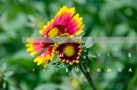 逾期了往儲(chǔ)蓄卡打錢扣嗎(儲(chǔ)蓄卡逾期扣款是什么意思)