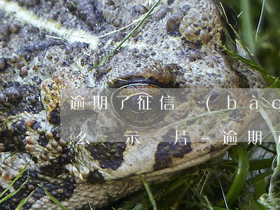 逾期了征信報(bào)告會(huì)怎么顯示圖片-逾期了征信報(bào)告會(huì)怎么顯示圖片呢