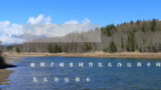 逾期了很多网贷怎么办信用卡(网贷多有逾期怎么办信用卡)