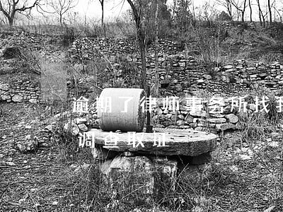 逾期了律师事务所找我(逾期律师事务所上门调查取证)