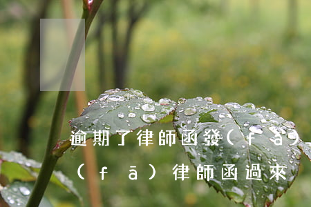 逾期了律師函發(fā)到哪里(貸款逾期發(fā)律師函過來沒事吧)
