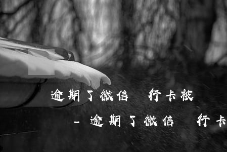 逾期了微信銀行卡被凍結(jié)了怎么辦-逾期了微信銀行卡被凍結(jié)了怎么辦呢