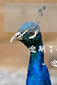 逾期了微信零錢被法院凍結(jié)怎么辦-逾期了微信零錢被法院凍結(jié)怎么辦呢