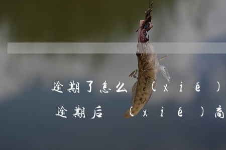 逾期了怎么協(xié)商還款 停止罰息-逾期后協(xié)商還款,還算逾期嗎