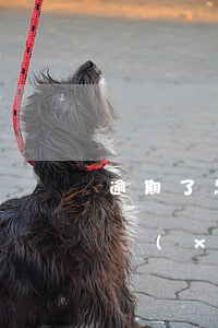逾期了怎么協(xié)商還款(逾期了怎么協(xié)商還款)