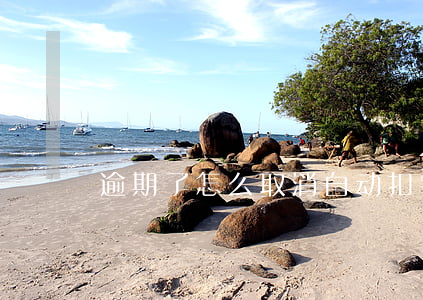 逾期了怎么取消自动扣钱