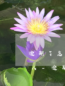 逾期了怎么可以不讓聯(lián)系家里人-逾期了怎么可以不讓聯(lián)系家里人呢