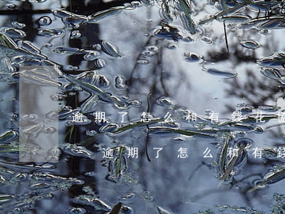逾期了怎么和有錢花協(xié)商還本金-逾期了怎么和有錢花協(xié)商還本金呢