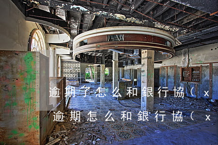 逾期了怎么和銀行協(xié)商還款(沒有逾期怎么和銀行協(xié)商還款)