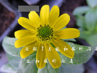 逾期了怎么和银行沟通(银行卡逾期还不上怎么和银行沟通)