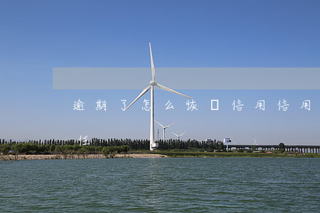 逾期了怎么恢復信用（信用卡逾期怎么恢復信任）