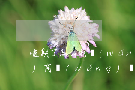 逾期了怎么找網(wǎng)貸協(xié)商(網(wǎng)貸逾期可以協(xié)商慢慢還嗎)