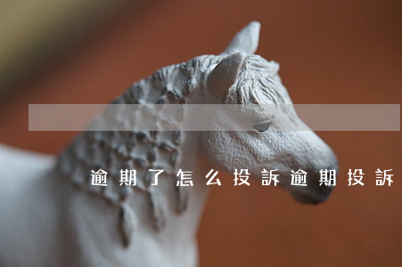 逾期了怎么投訴(逾期投訴平臺)