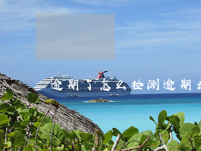 逾期了怎么检测(逾期去哪里查)