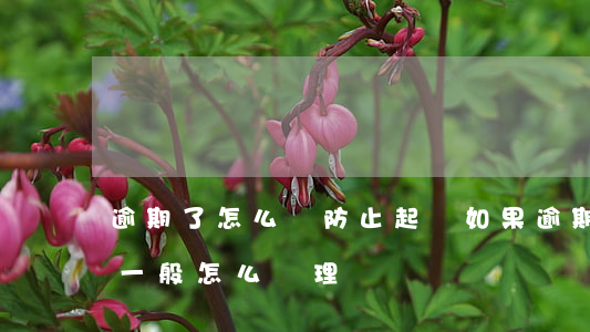 逾期了怎么樣防止起訴 如果逾期被起訴法院一般怎么處理