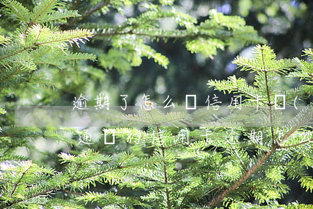 逾期了怎么給信用卡協(xié)商還款(交通銀行信用卡逾期怎么協(xié)商還款)